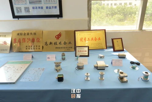 市長到南鄭區調研經濟運行和生態環保工作,提出這些要求